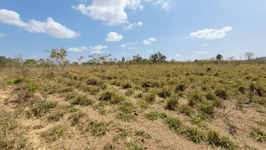 Fazenda/Sítio com 3 Quartos à venda, 170000m² no , Padre Bernardo