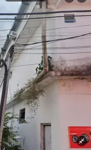 Apartamento com 1 Quarto para alugar, 45m² no Nossa Senhora das Graças, Manaus
