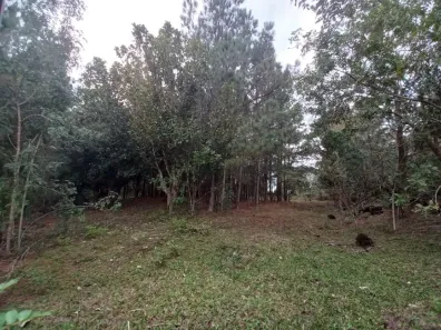 Lote/Terreno à venda, 3000m² no Krahe, Viamão