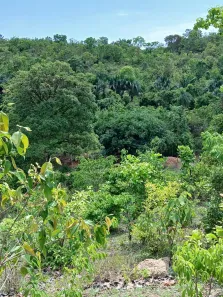 Fazenda/Sítio com 2 Quartos à venda, 13m² no , Aparecida do Rio Negro