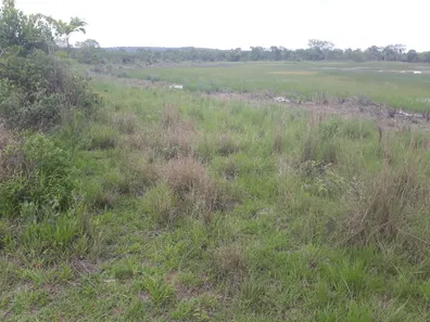 Lote/Terreno à venda, 20000m² no , Araçaí