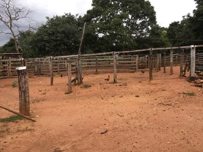 Fazenda/Sítio com 3 Quartos à venda, 43m² no Tupiracaba, Niquelândia