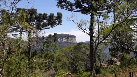 Lote/Terreno à venda, 15000m² no Dos Boêmios, Nova Petrópolis