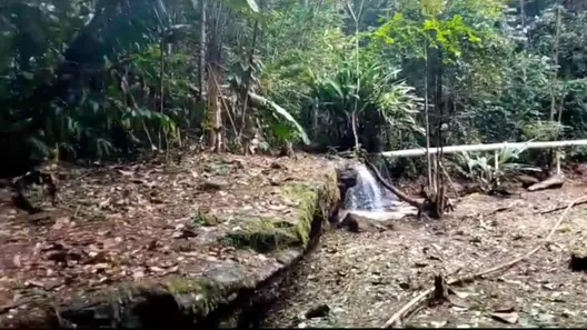 Lote/Terreno à venda, 1060000m² no Aida Mendonça, Presidente Figueiredo