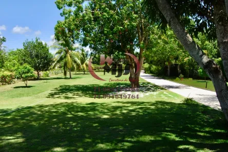 Casa de Condomínio com 4 Quartos para venda ou aluguel, 600m² no Portão, Lauro de Freitas