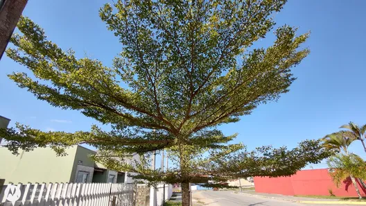 Sobrado com 3 Quartos à venda, 80m² no Balneario Albatroz, Matinhos