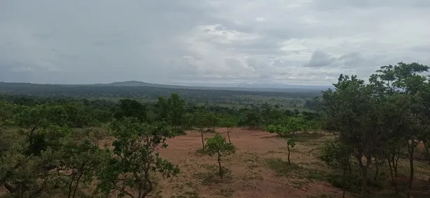 Lote/Terreno à venda, 20000m² no , Cordisburgo