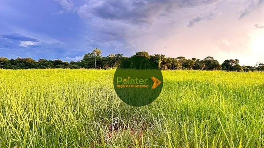 Fazenda/Sítio à venda, 290400m² no , Itaberaí