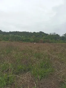 Fazenda/Sítio à venda, 677600m² no , Guaraqueçaba