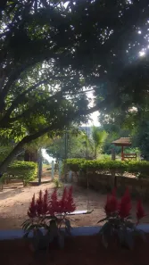 Fazenda/Sítio com 3 Quartos à venda, 635m² no Abadiânia, Abadiânia