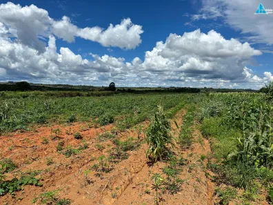 Fazenda/Sítio com 3 Quartos à venda, 33403m² no Área Rural de Brazlândia, Brasília