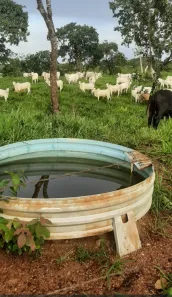 Fazenda/Sítio com 2 Quartos à venda, 1016m² no , Padre Bernardo