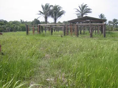 Fazenda/Sítio com 1 Quarto à venda, 1m² no Caravelas, Caravelas