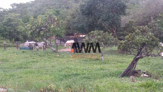 Fazenda/Sítio à venda, 774400m² no Goiás, Goiás