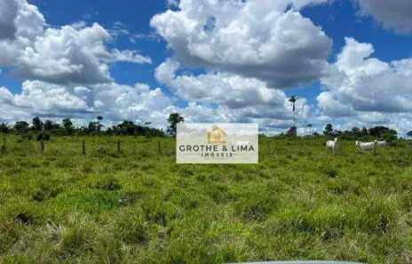 Fazenda/Sítio com 5 Quartos à venda, 800m² no Centro, Estreito