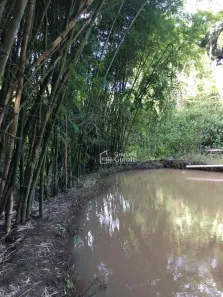 Fazenda/Sítio com 6 Quartos à venda, 27000m² no , Goianápolis