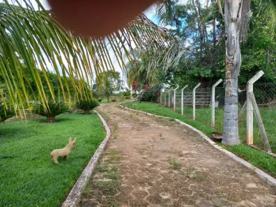 Fazenda/Sítio à venda, 10000m² no , Bonfinópolis