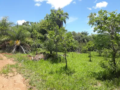 Lote/Terreno à venda, 20000m² no Cordisburgo, Cordisburgo