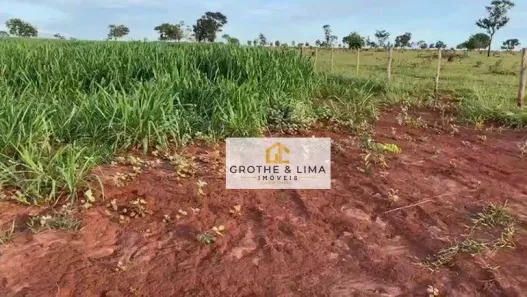 Fazenda/Sítio com 5 Quartos à venda, 800m² no Padre Bernardo, Padre Bernardo