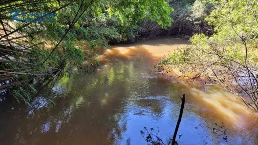 Fazenda/Sítio com 2 Quartos à venda, 6000m² no Zona Rural, Avaí