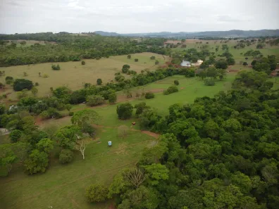 Fazenda/Sítio à venda, 480000m² no Área Rural, Goianira