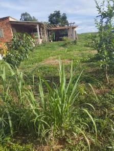 Fazenda/Sítio com 2 Quartos à venda, 1900m² no , Campo Limpo de Goiás