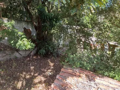 Fazenda/Sítio com 2 Quartos à venda, 2721m² no Granja dos Cavaleiros, Macaé