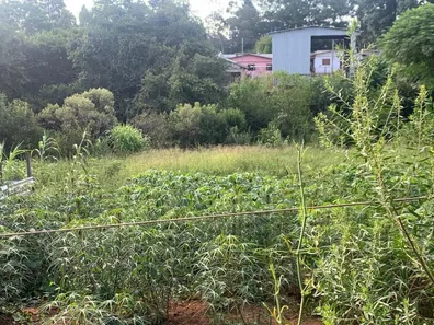 Lote/Terreno à venda, 396m² no São Luiz Gonzaga, Passo Fundo