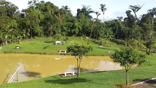 Fazenda/Sítio com 3 Quartos à venda, 18000m² no , Antonina
