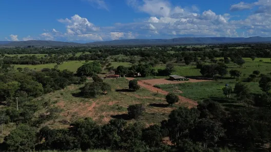 Fazenda/Sítio com 3 Quartos à venda, 520000m² no , Buritis