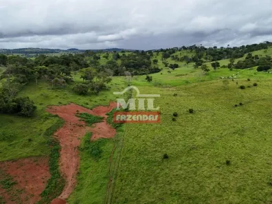 Fazenda/Sítio à venda, 20000m² no Vila Mutirão, Inhumas