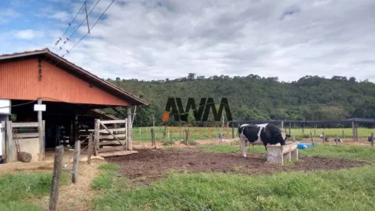 Fazenda/Sítio com 4 Quartos à venda, 1137400m² no , 