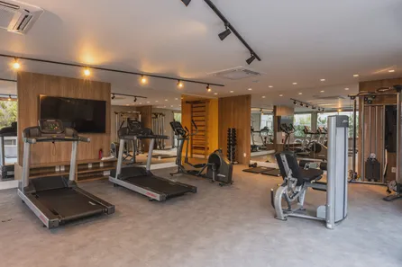 Raizes do parque no Vila Clementino, São Paulo