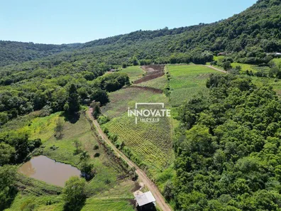Lote/Terreno à venda, 36000m² no Vila Rica, Presidente Lucena