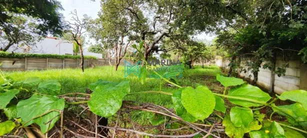 Lote/Terreno à venda, 1000m² no Anel, Lagoa Santa