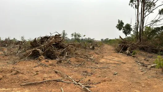Fazenda/Sítio à venda, 22760000m² no Centro, Formiga