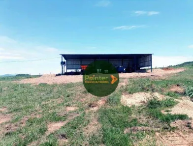 Fazenda/Sítio à venda, 5953200m² no , Niquelândia