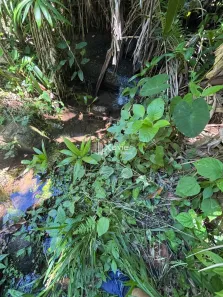 Fazenda/Sítio com 3 Quartos à venda, 11800m² no Comunidade Urbana de Jaboti, Guarapari
