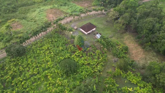 Fazenda/Sítio com 1 Quarto à venda, 332m² no Guaraqueçaba, Guaraqueçaba