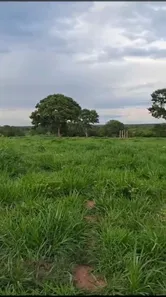 Fazenda/Sítio à venda no , Buritis