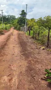Fazenda/Sítio à venda, 2000m² no , Itaberaí
