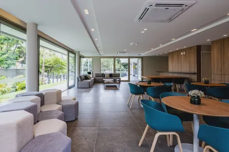 Raizes do parque no Vila Clementino, São Paulo