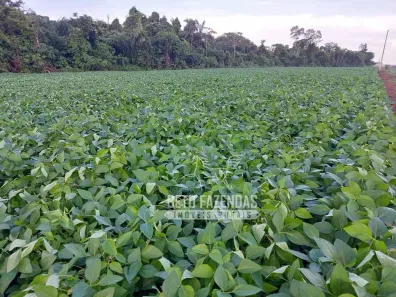 Fazenda/Sítio à venda, 208370000m² no , Urbano Santos
