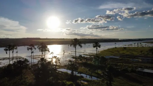 Fazenda/Sítio com 3 Quartos à venda, 6000m² no Condomínio Mestre D'Armas, Brasília