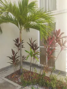 Apartamento com 2 Quartos para alugar, 42m² no Centro, Lauro de Freitas