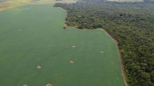 Fazenda/Sítio à venda, 1654892m² no , Itaberaí