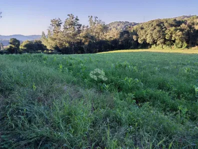 Fazenda/Sítio com 1 Quarto à venda, 20000m² no Monte Verde, Farroupilha