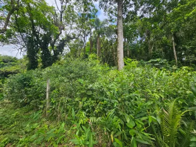 Lote/Terreno à venda, 2400m² no Antonina, Antonina