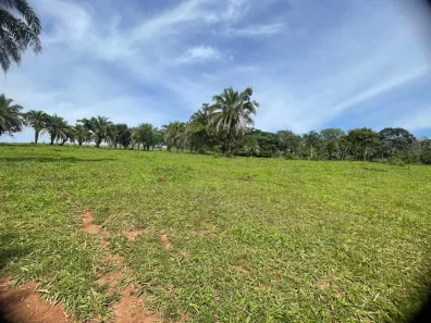 Fazenda/Sítio com 3 Quartos à venda, 72600m² no Área Rural de Inhumas, Inhumas