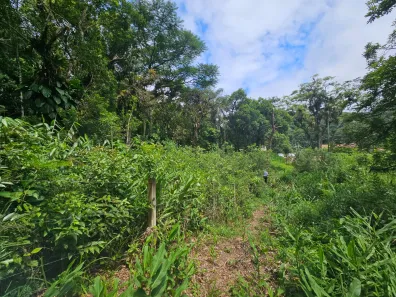 Lote/Terreno à venda, 2400m² no Antonina, Antonina